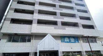 ダイアパレス医学町1209号室